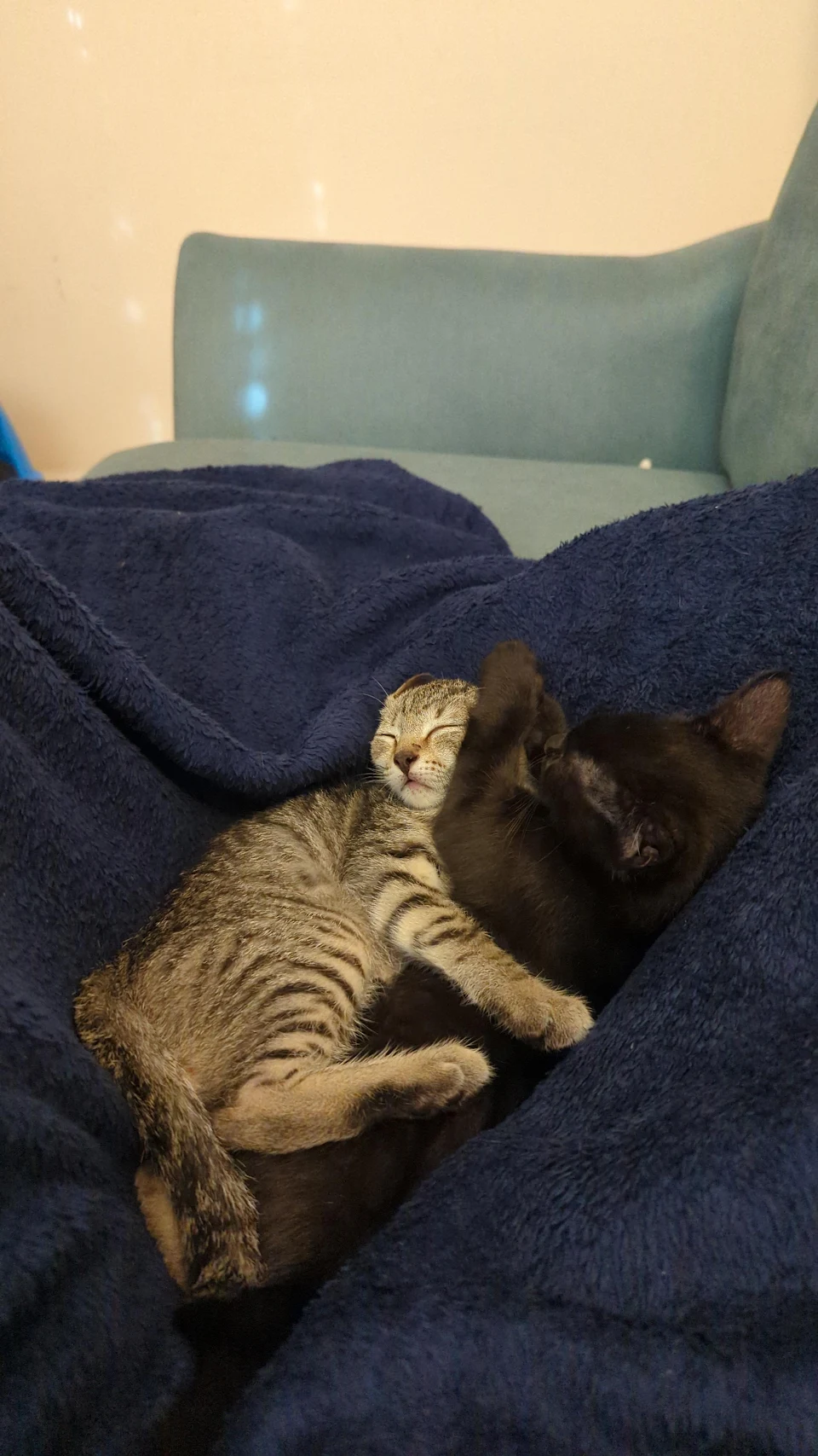 Brother and Sister love to cuddle